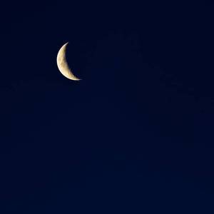 白鹿狂揉下部❌️❌️
